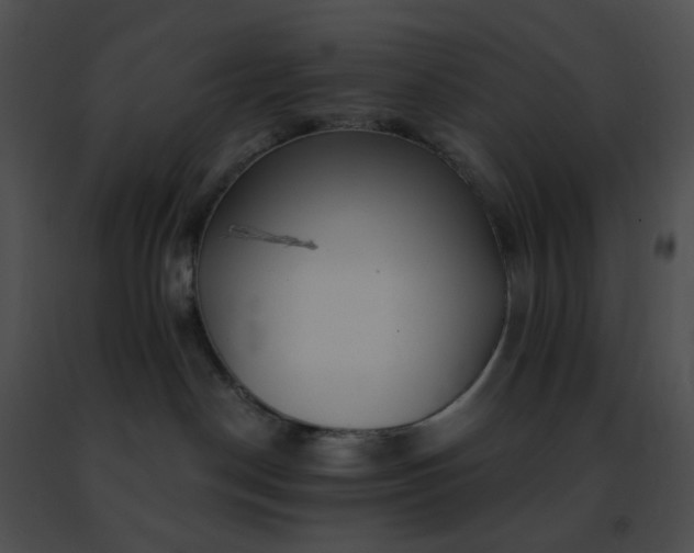 X0000091470190200708301901