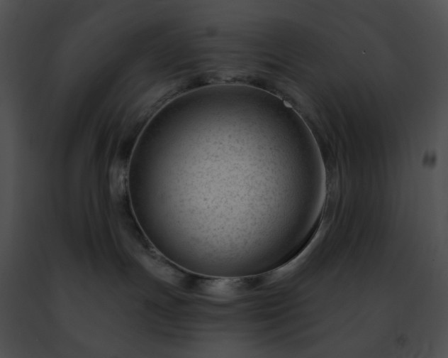 X0000091470191200708301901