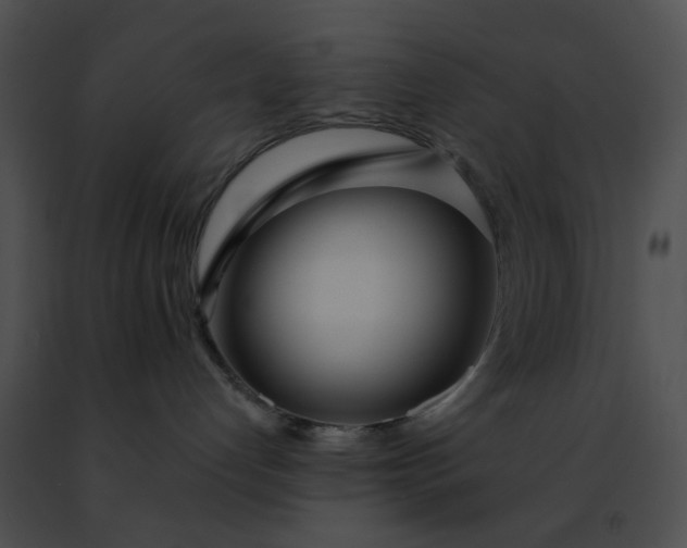 X0000091470192200708301901