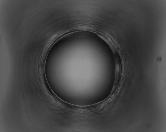 X0000091470193200708301900