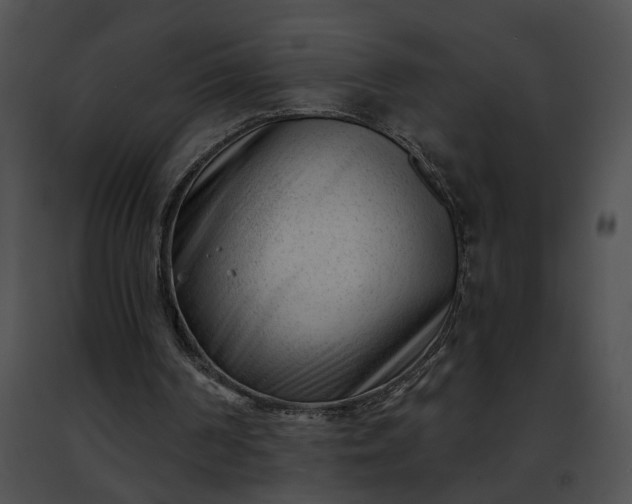 X0000091470194200708301900