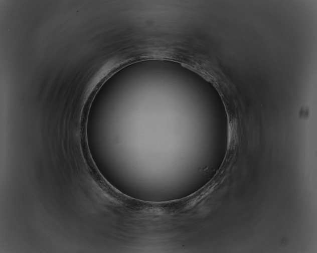 X0000091470195200708301900