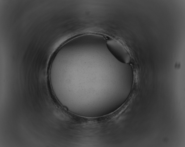 X0000091470196200708301900