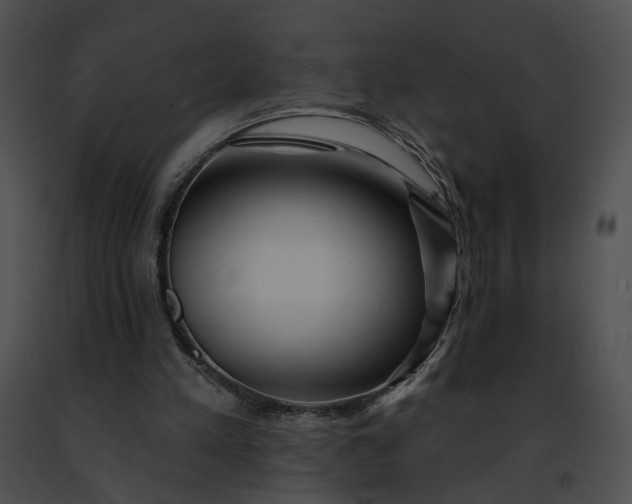 X0000091470197200708301900