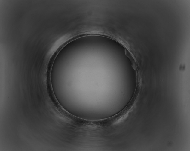 X0000091470199200708301900