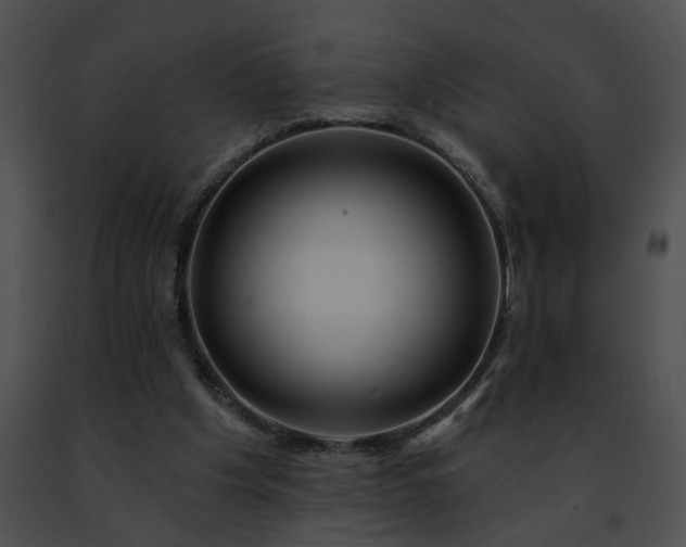 X0000091470201200708301900