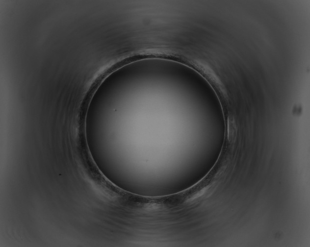 X0000091470204200708301900