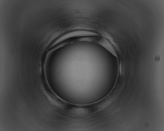 X0000091470205200708301900