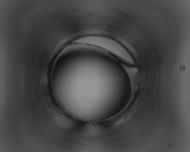 X0000091470207200708301900