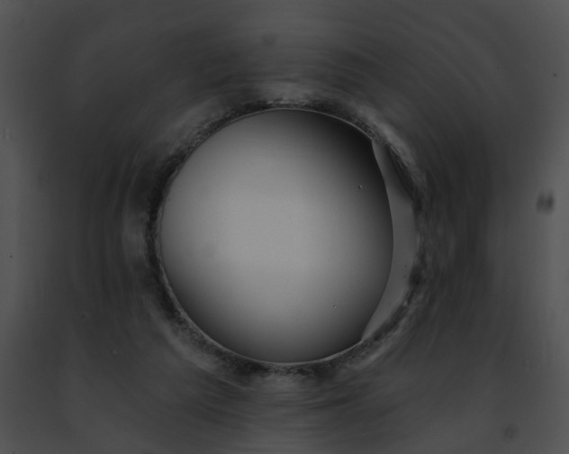 X0000091470209200708301900