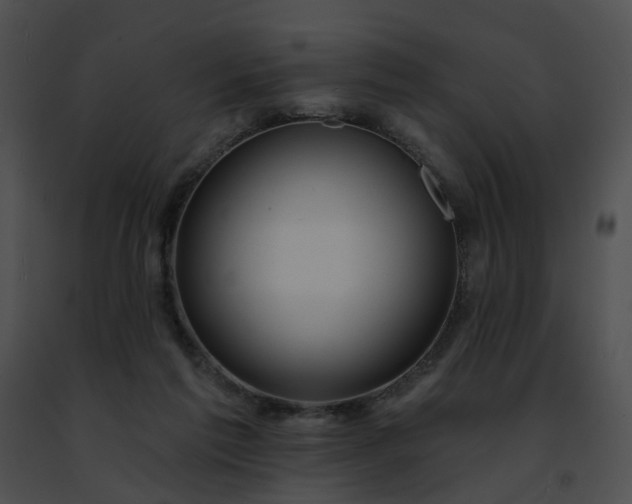 X0000091470213200708301900