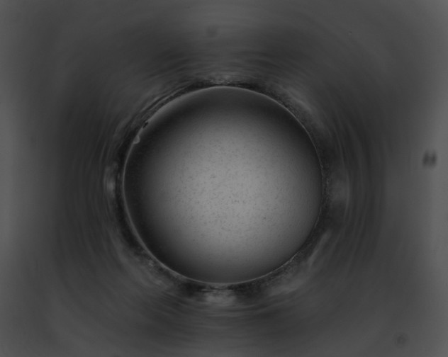 X0000091470214200708301900