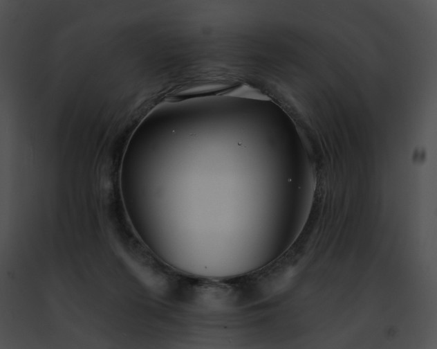 X0000091470215200708301900