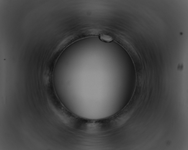 X0000091470216200708301900