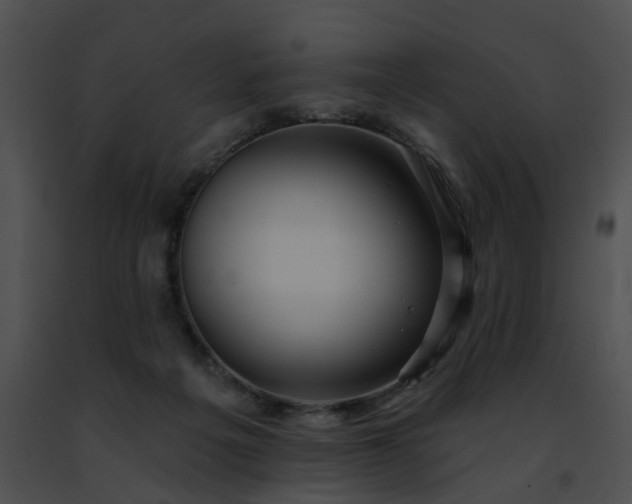 X0000091470217200708301900