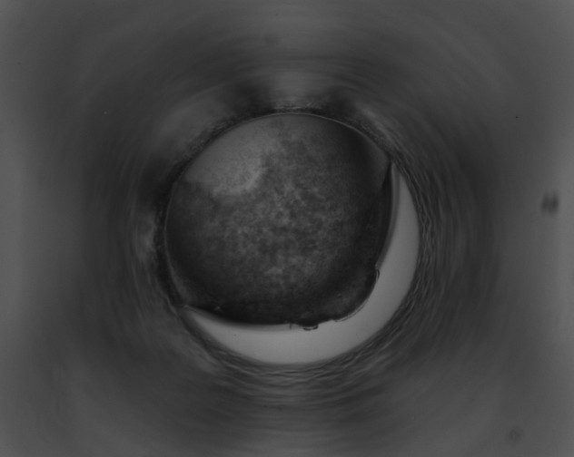 X0000091470219200708301900