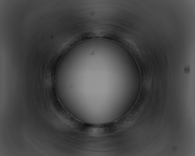 X0000091470220200708301900