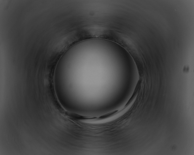 X0000091470221200708301900