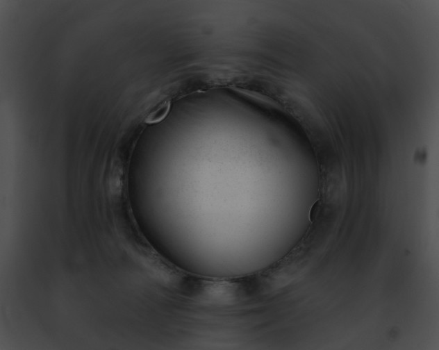 X0000091470226200708301900