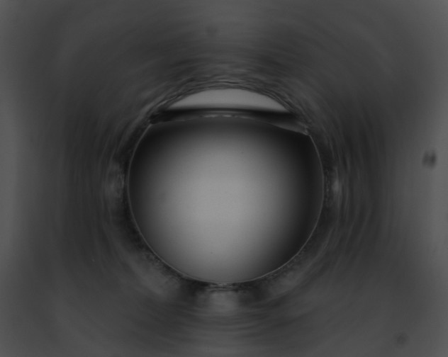 X0000091470228200708301900