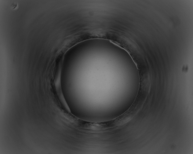 X0000091470229200708301859