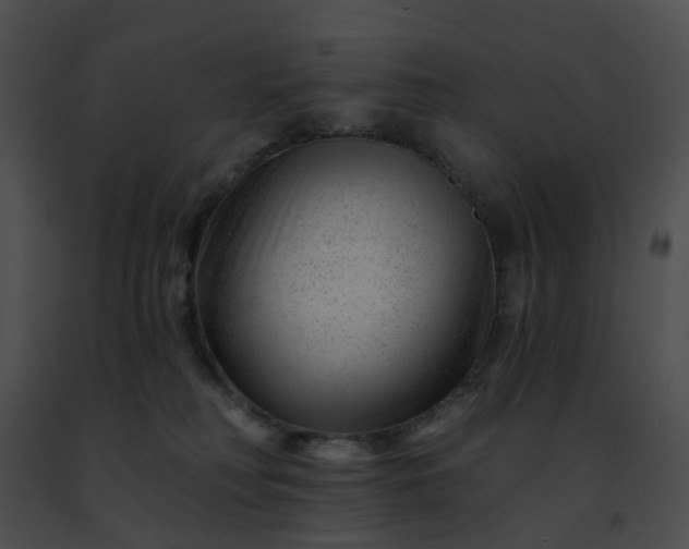 X0000091470230200708301859