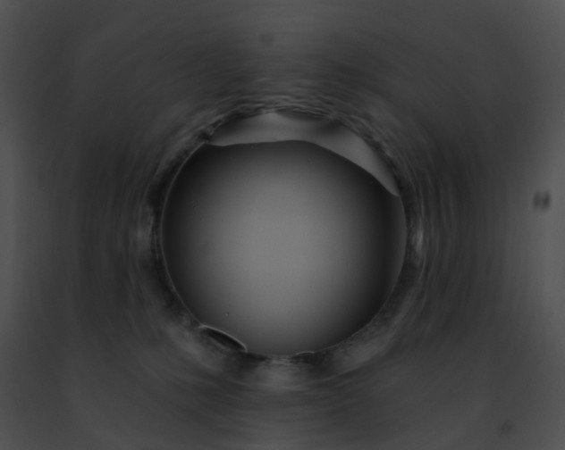 X0000091470231200708301859