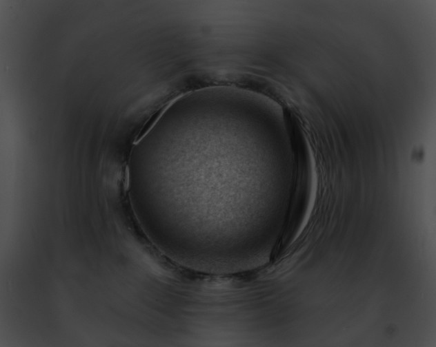 X0000091470235200708301859