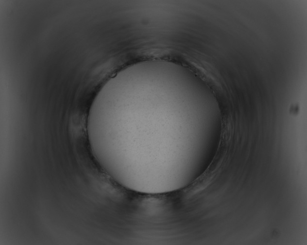 X0000091470236200708301859