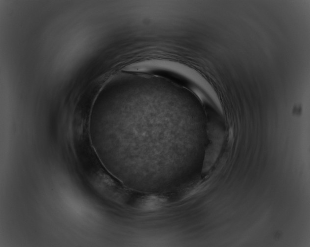 X0000091470239200708301859