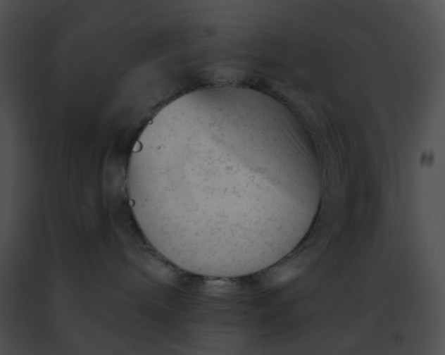 X0000091470240200708301859