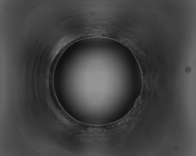 X0000091470242200708301859