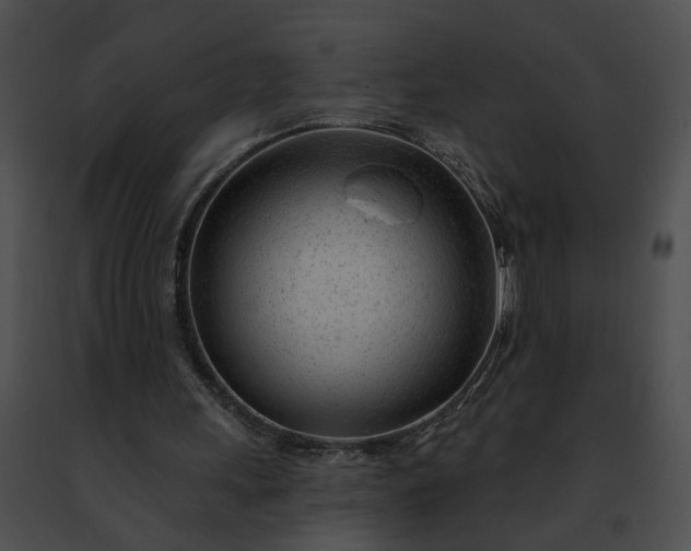 X0000091470243200708301859