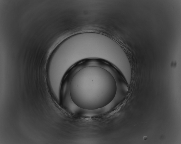 X0000091470244200708301859