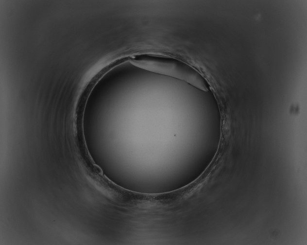 X0000091470246200708301859