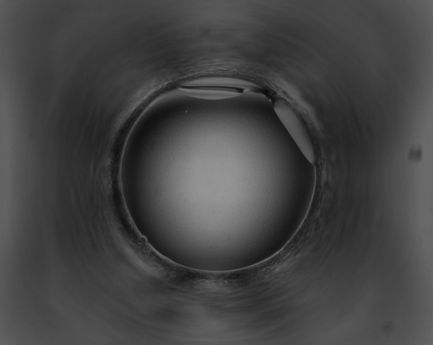 X0000091470250200708301859