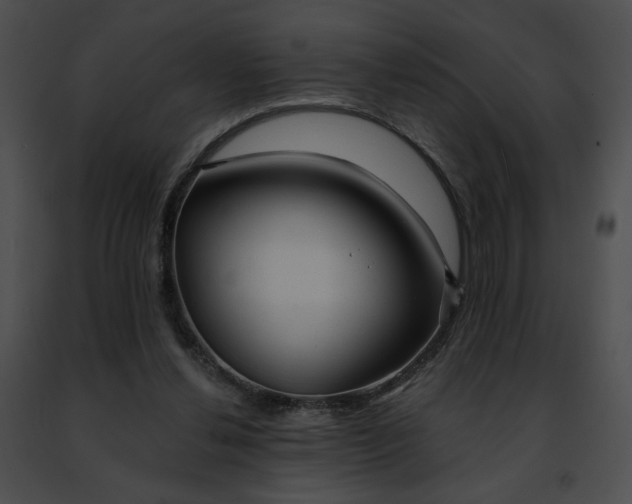 X0000091470252200708301859