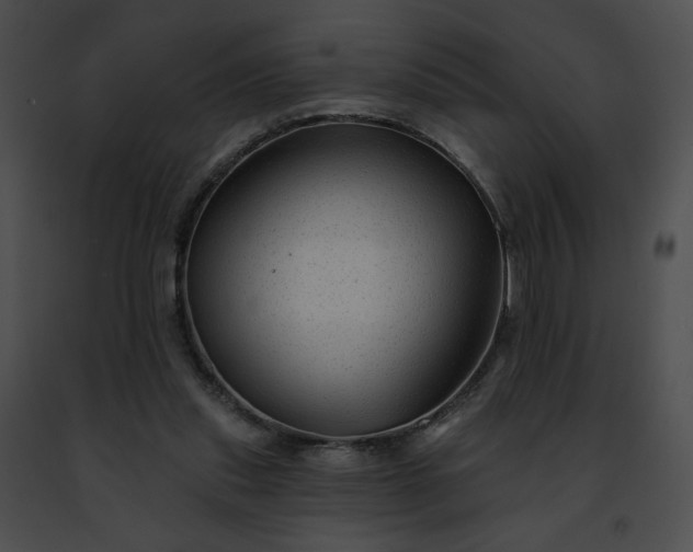 X0000091470253200708301859