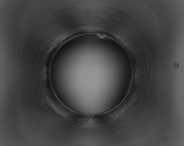 X0000091470254200708301859