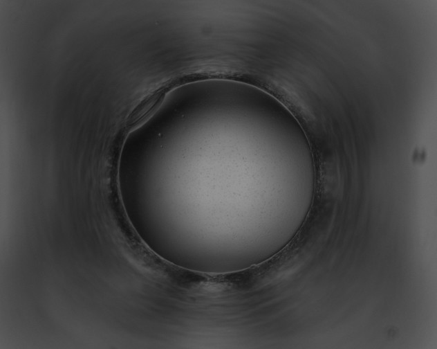 X0000091470255200708301859