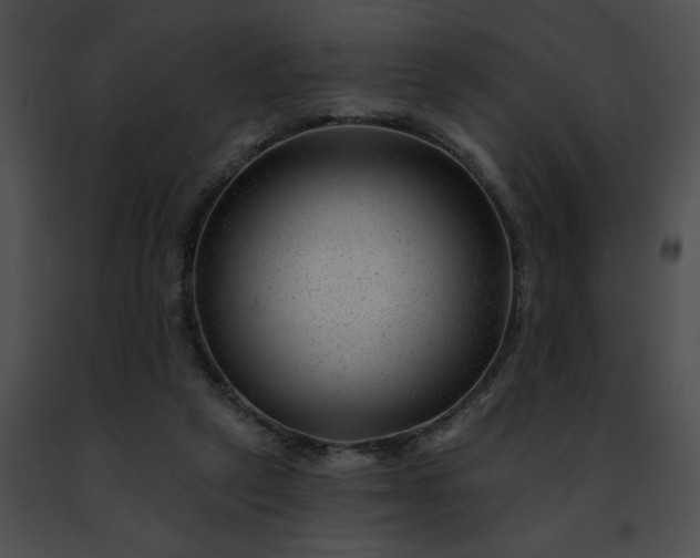 X0000091470257200708301859