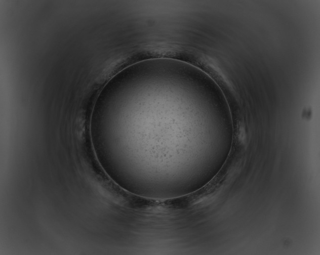 X0000091470259200708301859