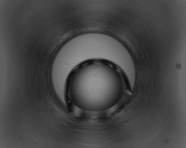 X0000091470260200708301859