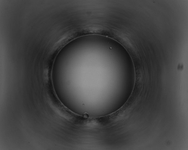 X0000091470262200708301859