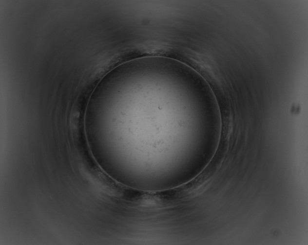 X0000091470263200708301859