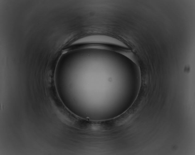 X0000091470264200708301859