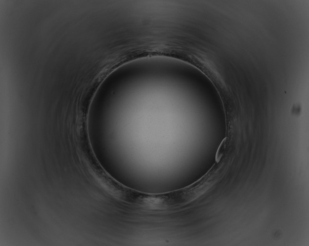 X0000091470265200708301859