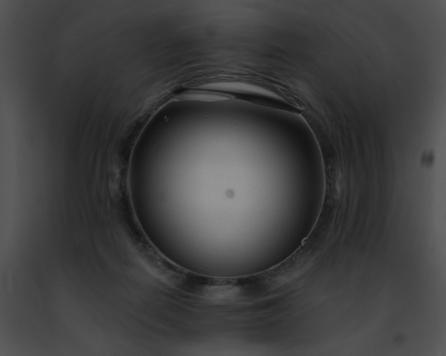 X0000091470266200708301859