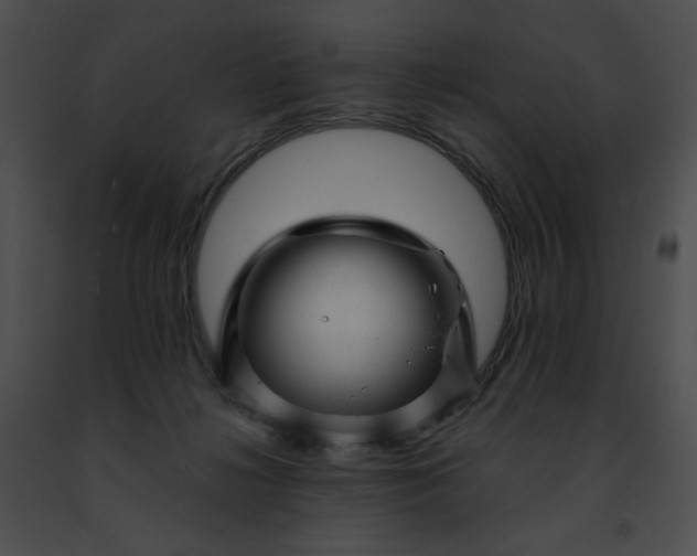 X0000091470268200708301859