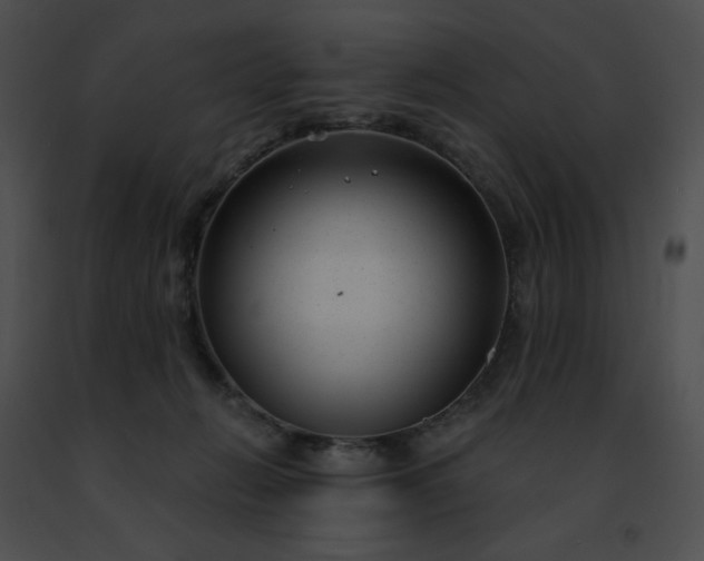 X0000091470270200708301859